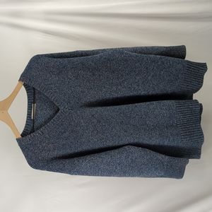 Everlane Blue Cotton V-neck Sweater